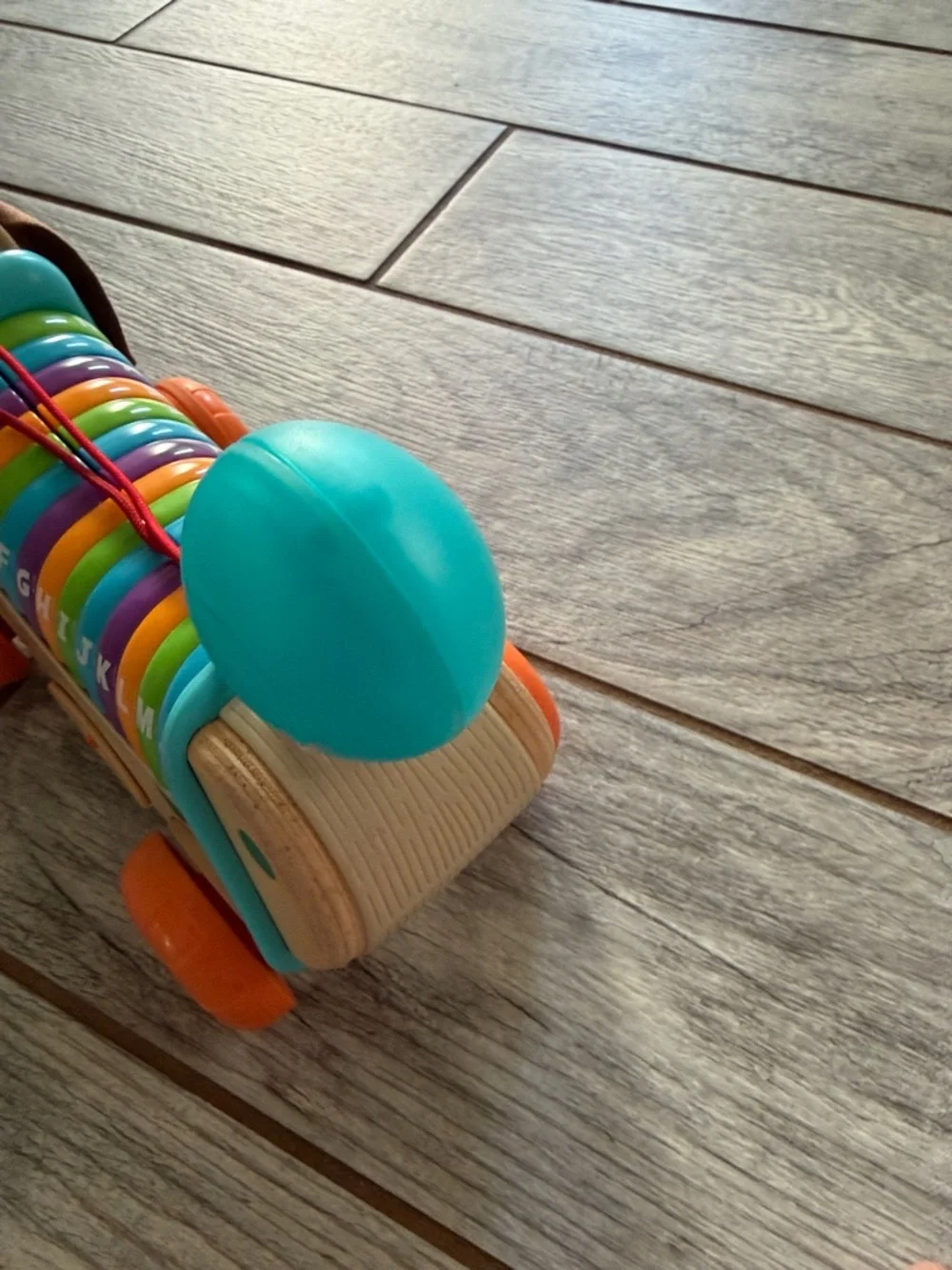Wooden Alphabet Xylophone Pull-Along Dachshund Toy - Multicolor